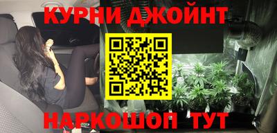 стафф Новокубанск